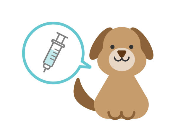 illustration of dog vaccination
